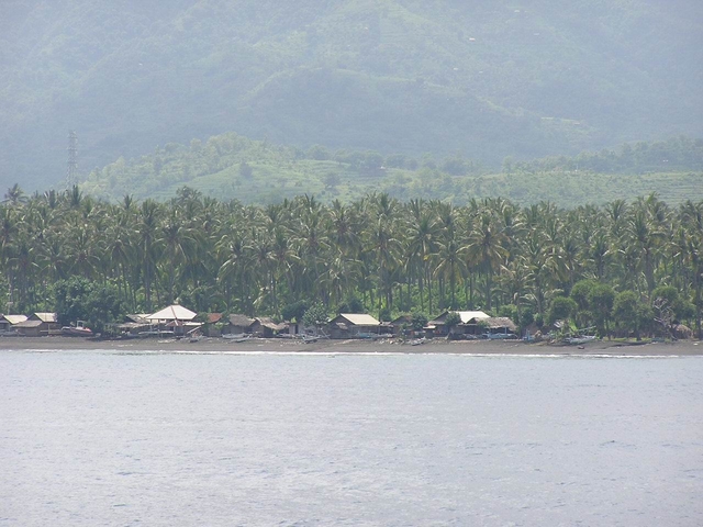  Bali
