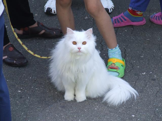  80156