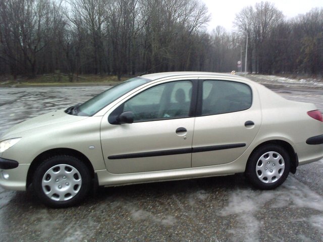 Peugeot 206 Sedan (3) 